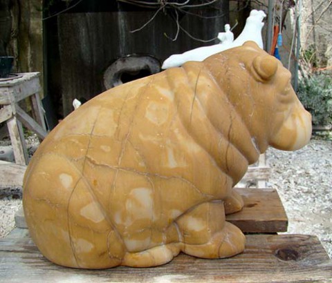 Hippopotamus
