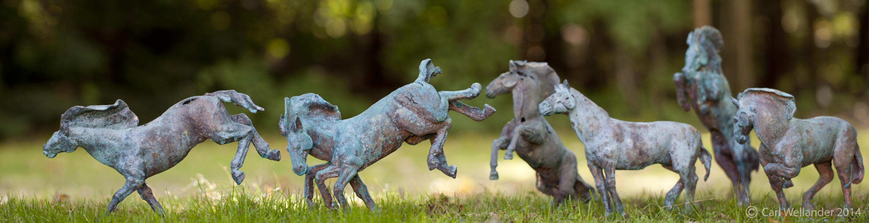 <h1><a href='/medlemmar/carl-wellander'>Carl Wellander</a></h1><h4>Vårsläpp på Idavallen</h4>